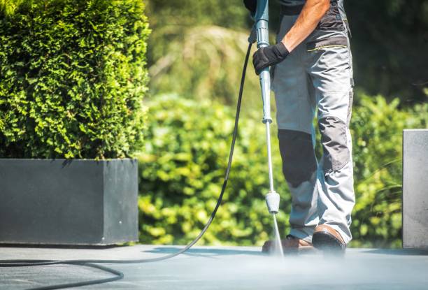 Best Solar Panel Cleaning  in Baldwin Park, CA